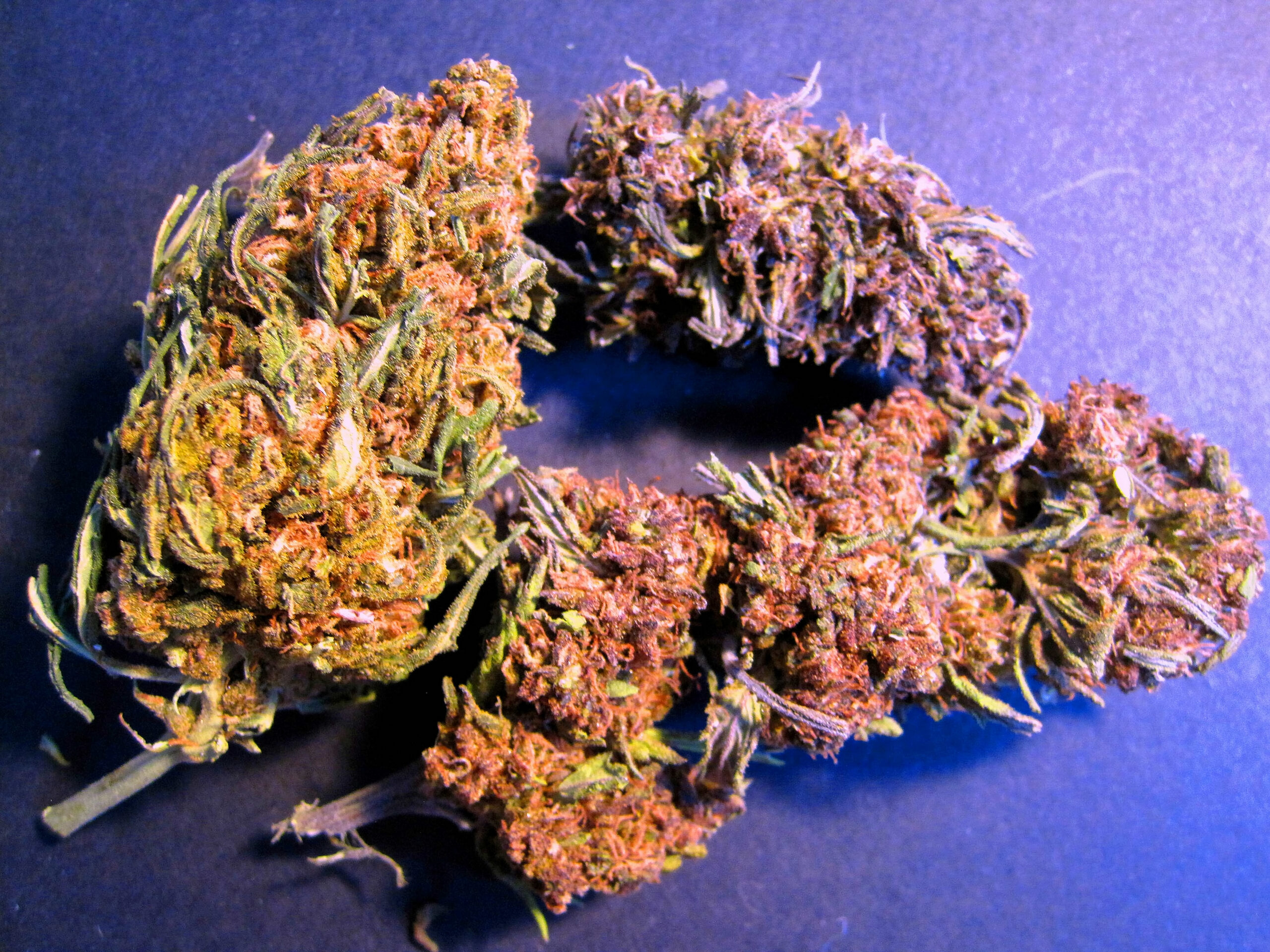 CBD Flower Collection