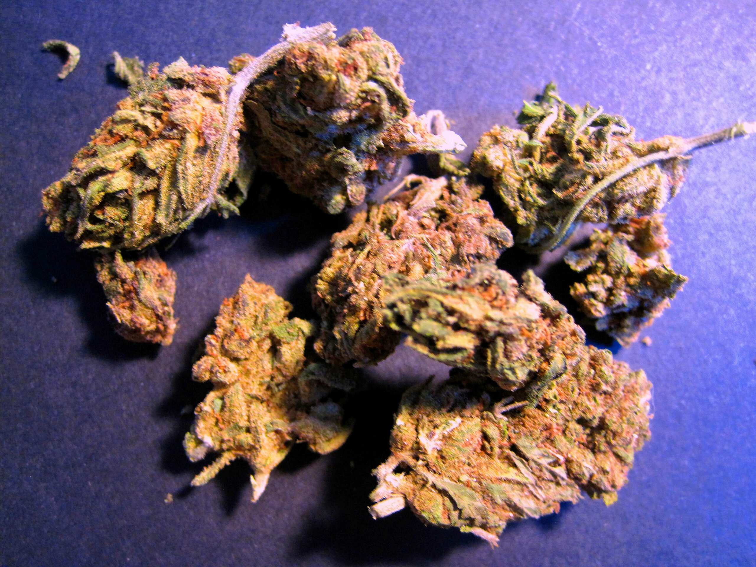 CBD Flower Collection